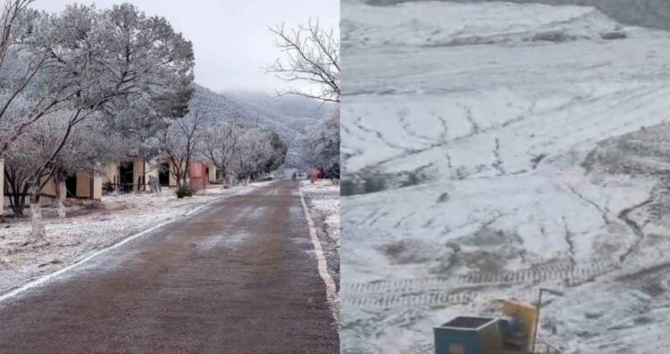 Imágenes: Se registra la primera nevada del 2025 en Ocampo, Coahuila