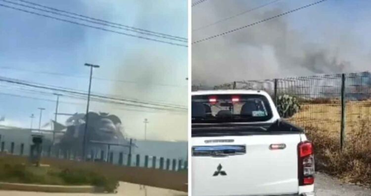 Incendio de pastizal en Tecámac, Estado de México, provoca desalojo en Macro Plaza