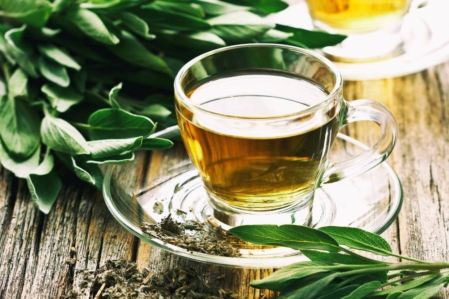 Infusión de salvia propiedades