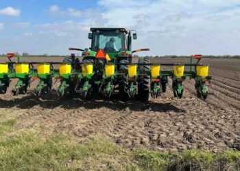 La llegada de bajas temperaturas detiene la siembra de sorgo en el norte de Tamaulipas