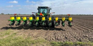 La llegada de bajas temperaturas detiene la siembra de sorgo en el norte de Tamaulipas