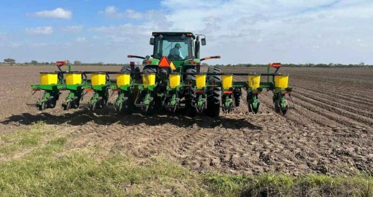 La llegada de bajas temperaturas detiene la siembra de sorgo en el norte de Tamaulipas