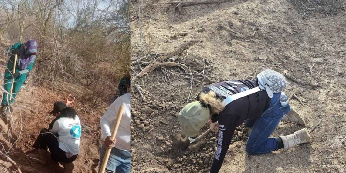 26 fosas Hermosillo Sonora