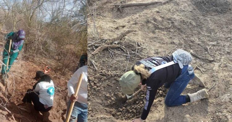 26 fosas Hermosillo Sonora
