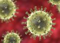 Metapneumovirus humano