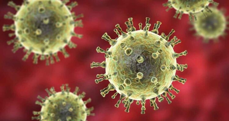 Metapneumovirus humano
