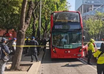 Metrobús se impacta contra un árbol en Paseo de la Reforma en la Alcaldía Cuauhtémoc, CDMX
