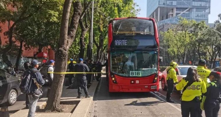 Metrobús se impacta contra un árbol en Paseo de la Reforma en la Alcaldía Cuauhtémoc, CDMX