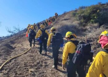 México combate incendios en California: Estos son los avances