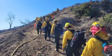 México combate incendios en California: Estos son los avances