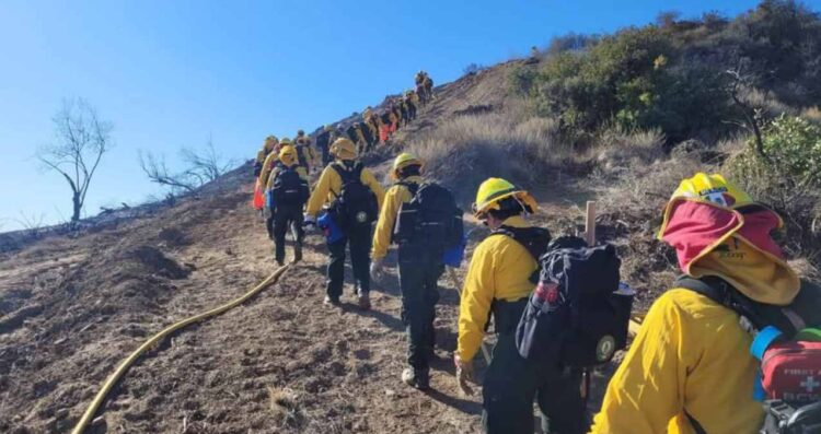 México combate incendios en California: Estos son los avances