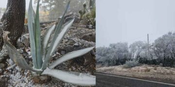 Mirador de Alta Cumbre en Ciudad Victoria, Tamaulipas se pinta de blanco debido a las bajas temperaturas