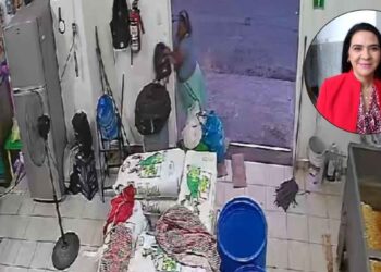 Mónica Villarreal pide no alarmarse por los robos a negocios en Tampico, Tamaulipas