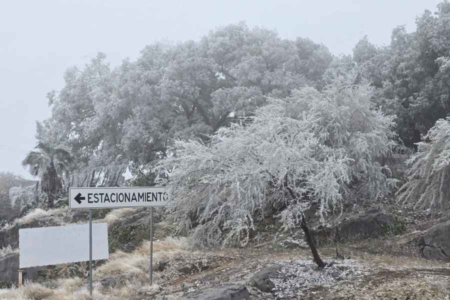 Nevada cubre de blanco el santuario de ‘El Chorrito’ y otras comunidades de Tamaulipas