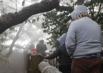 clima 22 enero Nuevo León