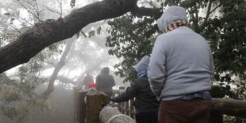 clima 22 enero Nuevo León
