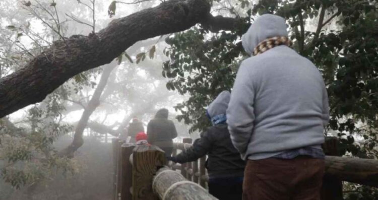 clima 22 enero Nuevo León