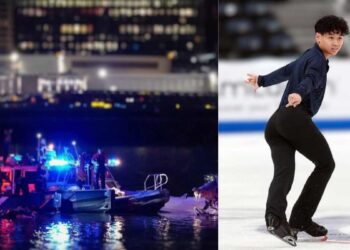 perro patinador Washington