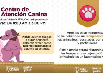 Nuevo Laredo habilitará refugio temporal para animales durante bajas temperaturas