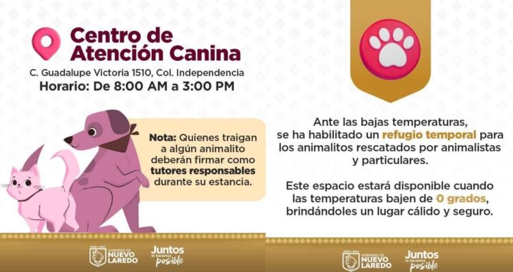 Nuevo Laredo habilitará refugio temporal para animales durante bajas temperaturas