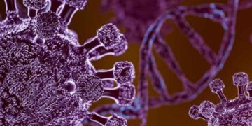 metapneumovirus humano