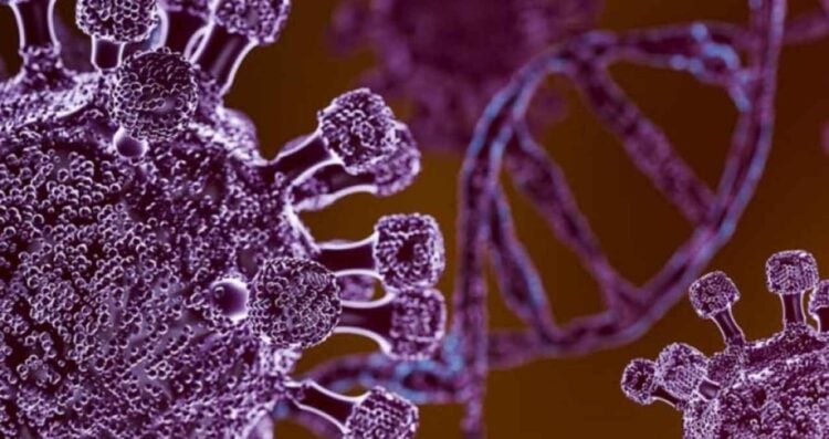 metapneumovirus humano