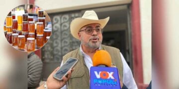 Producción de miel en Tamaulipas: una oportunidad rentable para el campo