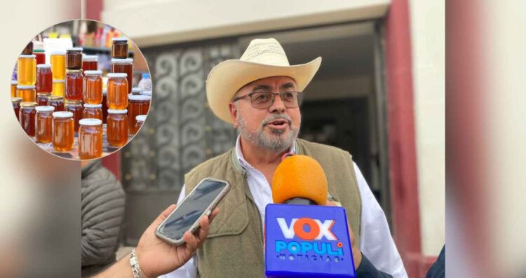 Producción de miel en Tamaulipas: una oportunidad rentable para el campo