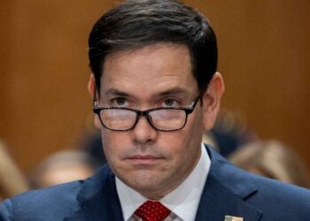 Marco Rubio cárteles mexicanos