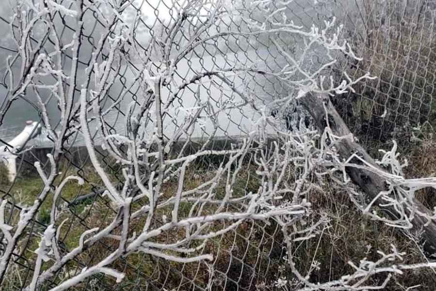 Reportan caída de hielo en la Sierra de Santiago, NL por el Frente Frío No. 24