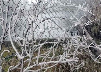 Reportan caída de hielo en la Sierra de Santiago, NL por el Frente Frío No. 24
