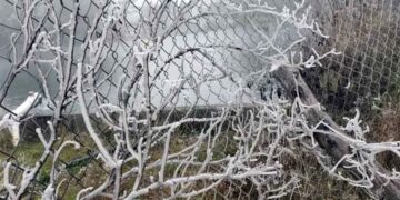 Reportan caída de hielo en la Sierra de Santiago, NL por el Frente Frío No. 24
