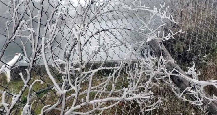 Reportan caída de hielo en la Sierra de Santiago, NL por el Frente Frío No. 24