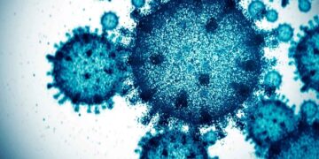 primera ola de contagios por COVID-19