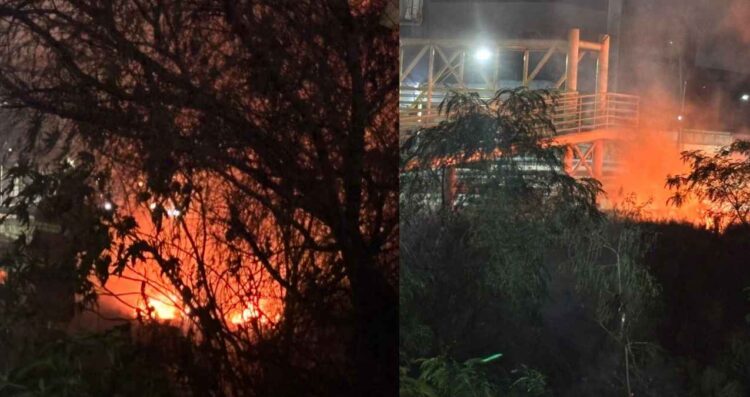 Se registra fuerte incendio en el río Santa Catarina en el centro de Monterrey, NL