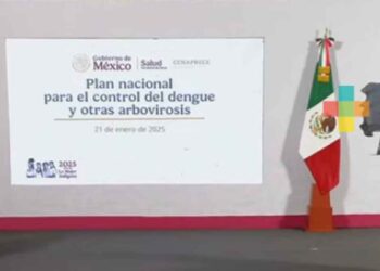 Plan Nacional dengue