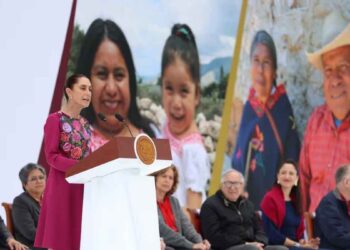 Plan de Licitación de Medicamentos