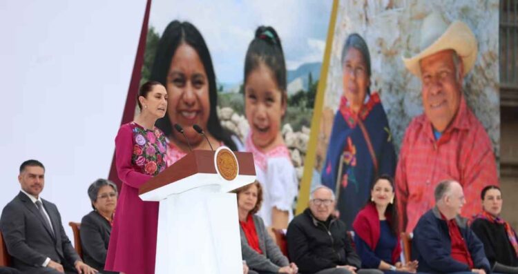 Plan de Licitación de Medicamentos