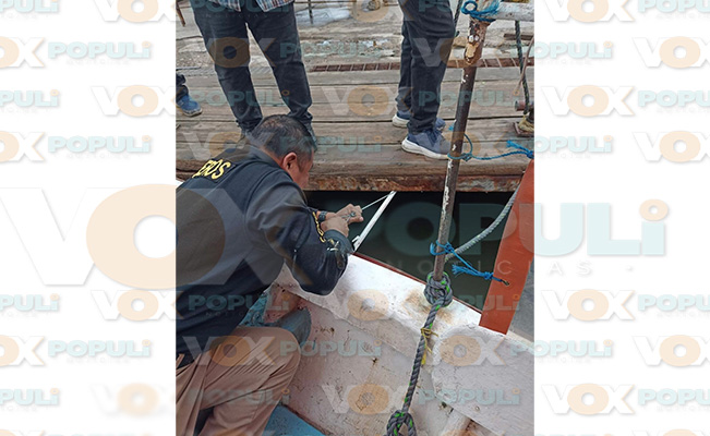 Tamaulipas Bomberos de Tampico rescatan a ‘lomito’ tras caer al río Pánuco