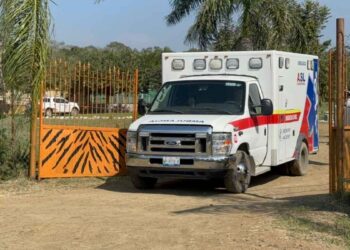 Trabajador muere tras ataque de león en Zoológico de Altamira