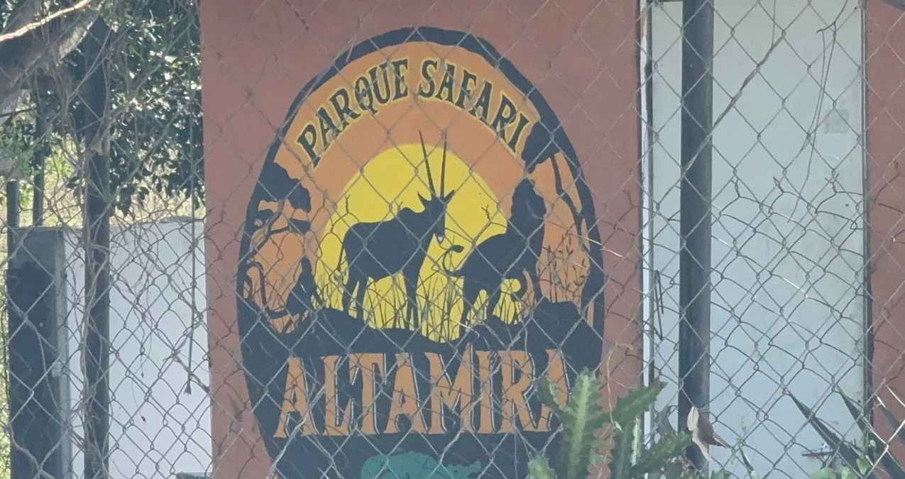 Trabajador muere tras ataque de león en Zoológico de Altamira