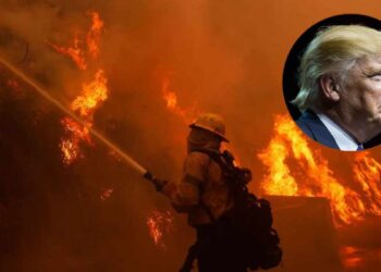 Trump critica manejo de incendios en Los Ángeles: Calificó de "incompetentes" a políticos locales