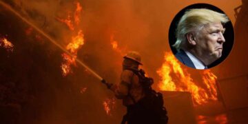 Trump critica manejo de incendios en Los Ángeles: Calificó de "incompetentes" a políticos locales