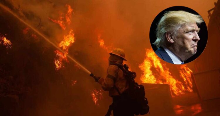 Trump critica manejo de incendios en Los Ángeles: Calificó de "incompetentes" a políticos locales