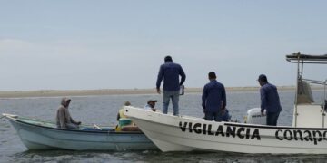 veda de lisa en Tamaulipas