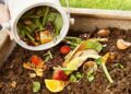 abono casero para plantas