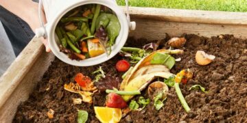 abono casero para plantas