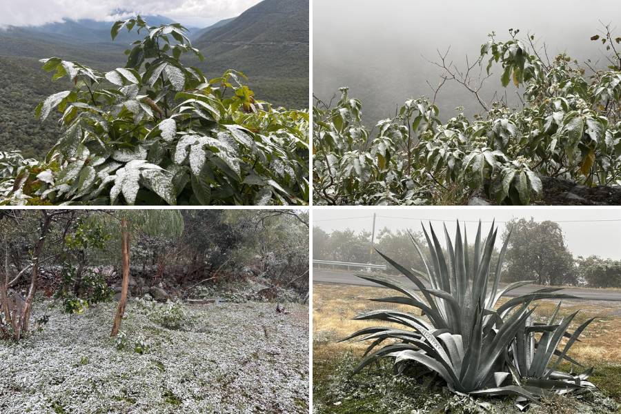 aguanieve en santuario del caminero