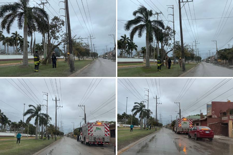 bomberos de ciudad madero