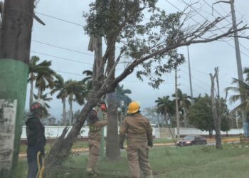 bomberos de ciudad madero
